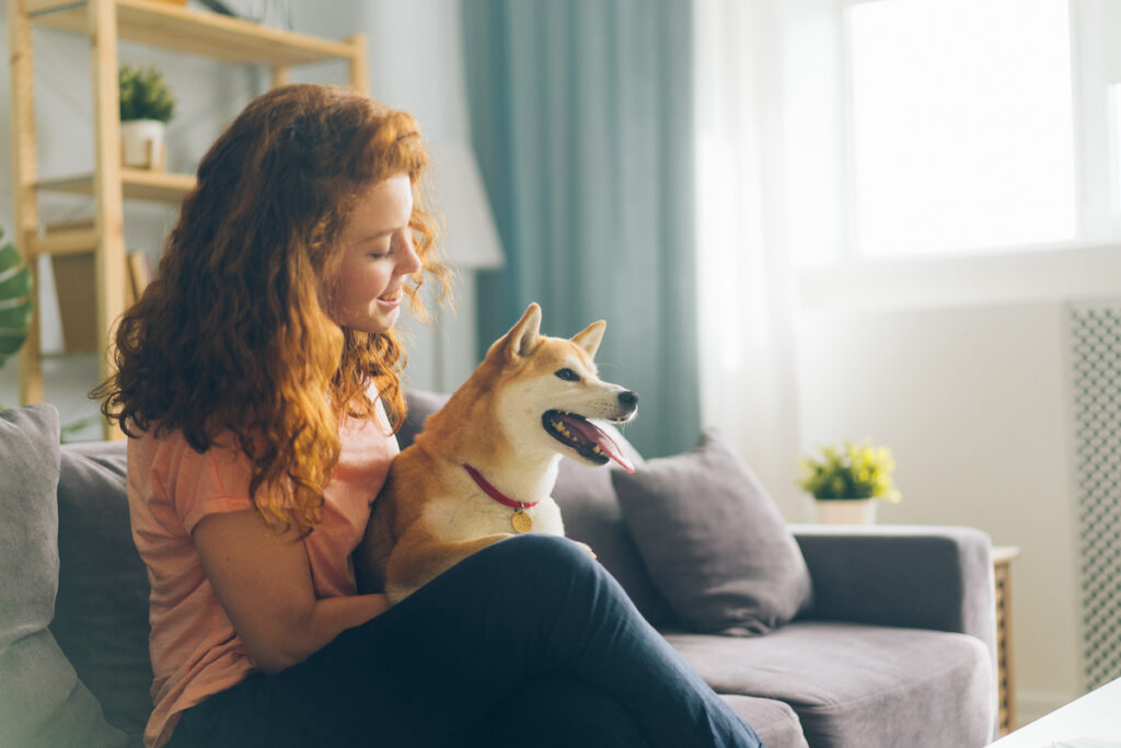 Woman hugging doggy sitting on couch