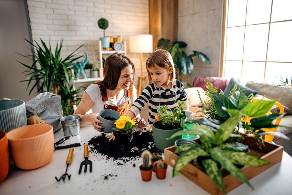 Let Standard's experts be your guides to unlocking the secrets of ultimate home comfort this season. 